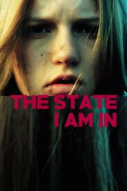 The State I Am In 2001 on netflix