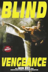 Blind Vengeance 1994 on netflix