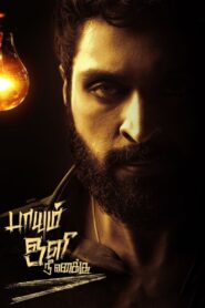Paayum Oli Nee Yenakku 2023 on netflix