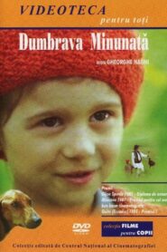 The Enchanted Grove 1980 on netflix
