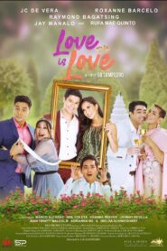 Love is Love 2019 on netflix