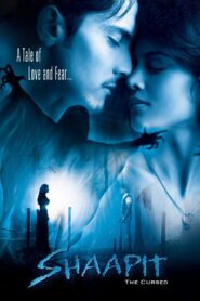 Shaapit 2010 on netflix