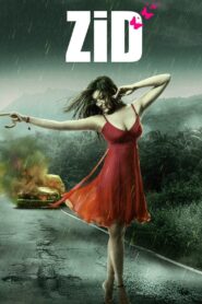 Zid 2014 on netflix