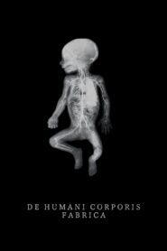 De Humani Corporis Fabrica 2023 on netflix