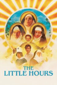 The Little Hours 2017 on netflix