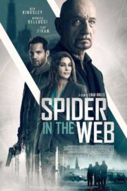 Spider in the Web 2019 on netflix