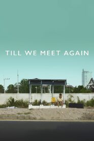 Till We Meet Again 2016 on netflix