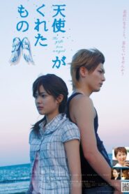 The Gift from Heaven 2007 on netflix