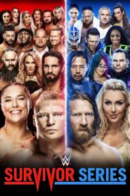 WWE Survivor Series 2018 2018 on netflix