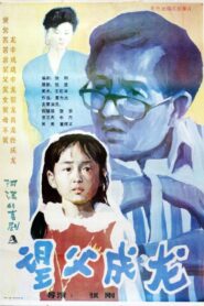 望父成龙 1992 on netflix