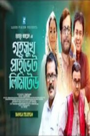 Greho Sukh Private Limited 2015 on netflix