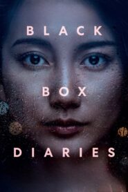 Black Box Diaries 2024 on netflix