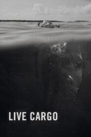 Live Cargo 2016 on netflix