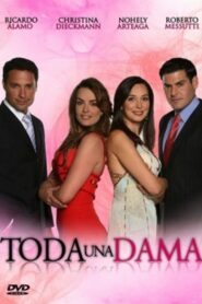 Toda una dama 2007 on netflix