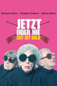 Now or Never 2000 on netflix