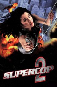 Supercop 2 1993 on netflix