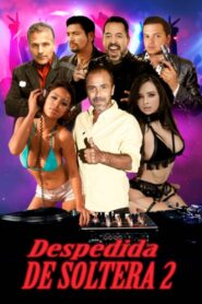 Despedida de soltera 2 2020 on netflix