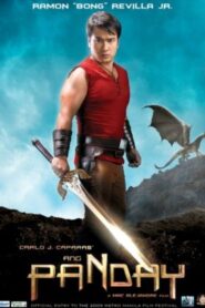 Ang Panday 2009 on netflix
