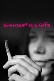 Somersault in a Coffin 1996 on netflix