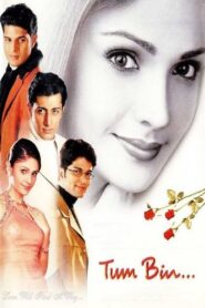 Tum Bin 2001 on netflix