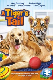 A Tiger’s Tail 2014 on netflix