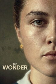 The Wonder 2022 on netflix