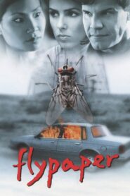 Flypaper 1999 on netflix