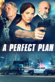 A Perfect Plan 2020 on netflix