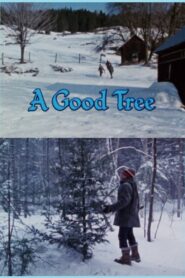 A Good Tree 1984 on netflix