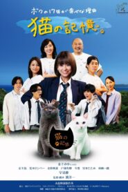 Itoshima Movie: Cat’s Memory 2022 on netflix