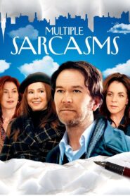 Multiple Sarcasms 2010 on netflix