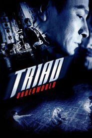Jiang Hu 2004 on netflix