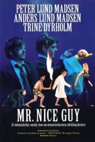 Mr. Nice Guy 2005 on netflix