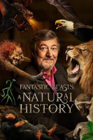 Fantastic Beasts: A Natural History 2022 on netflix
