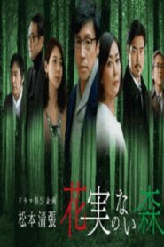 花実のない森 2017 on netflix