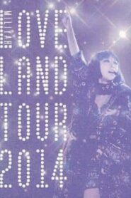 Loveland Tour 2014 2015 on netflix