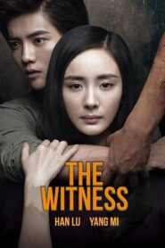 The Witness 2015 on netflix
