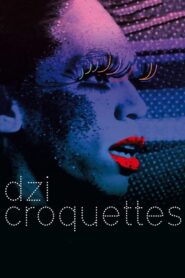 Dzi Croquettes 2009 on netflix