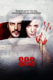 The Voice 2010 on netflix
