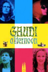 Gaudi Afternoon 2001 on netflix