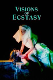 Visions of Ecstasy 1989 on netflix