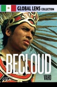 Becloud 2010 on netflix