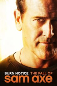 Burn Notice: The Fall of Sam Axe 2011 on netflix