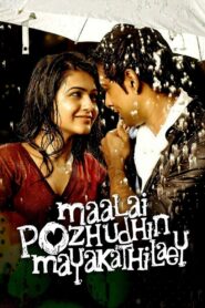 Maalai Pozhudhin Mayakathilaey 2012 on netflix