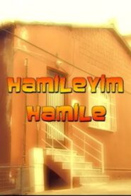 Hamileyim Hamile 2009 on netflix
