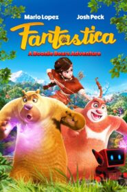 Fantastica: A Boonie Bears Adventure 2017 on netflix