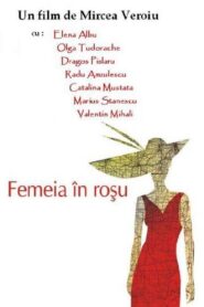 The Woman in Red 1997 on netflix
