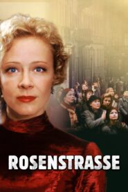 Rosenstrasse 2003 on netflix