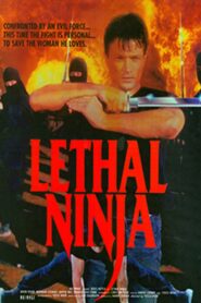 Lethal Ninja 1992 on netflix