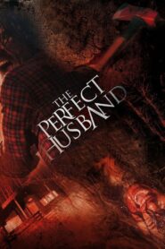 The Perfect Husband 2014 on netflix